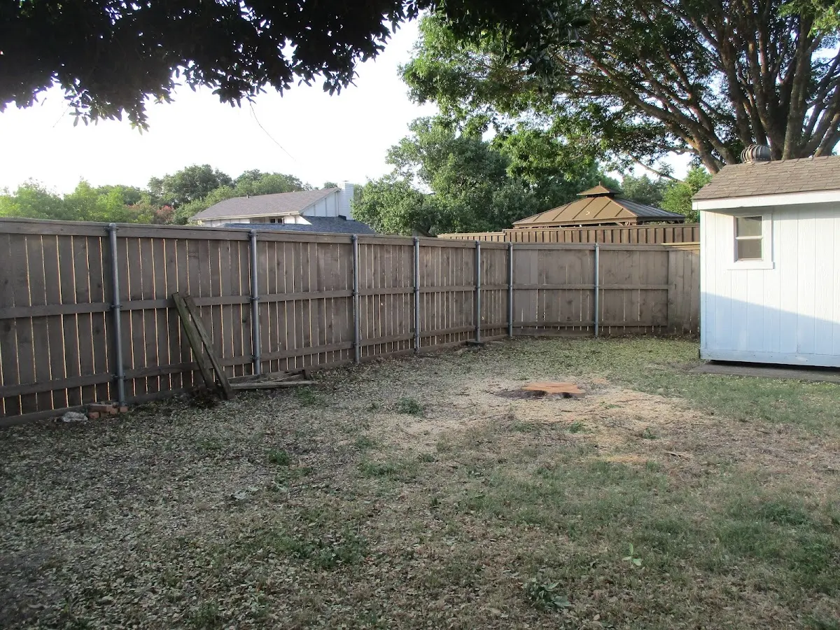 Cleared yard after professional tree removal in Yanceyville
